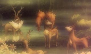 宝可梦卡怎么看价值 宝可梦卡怎么看价值